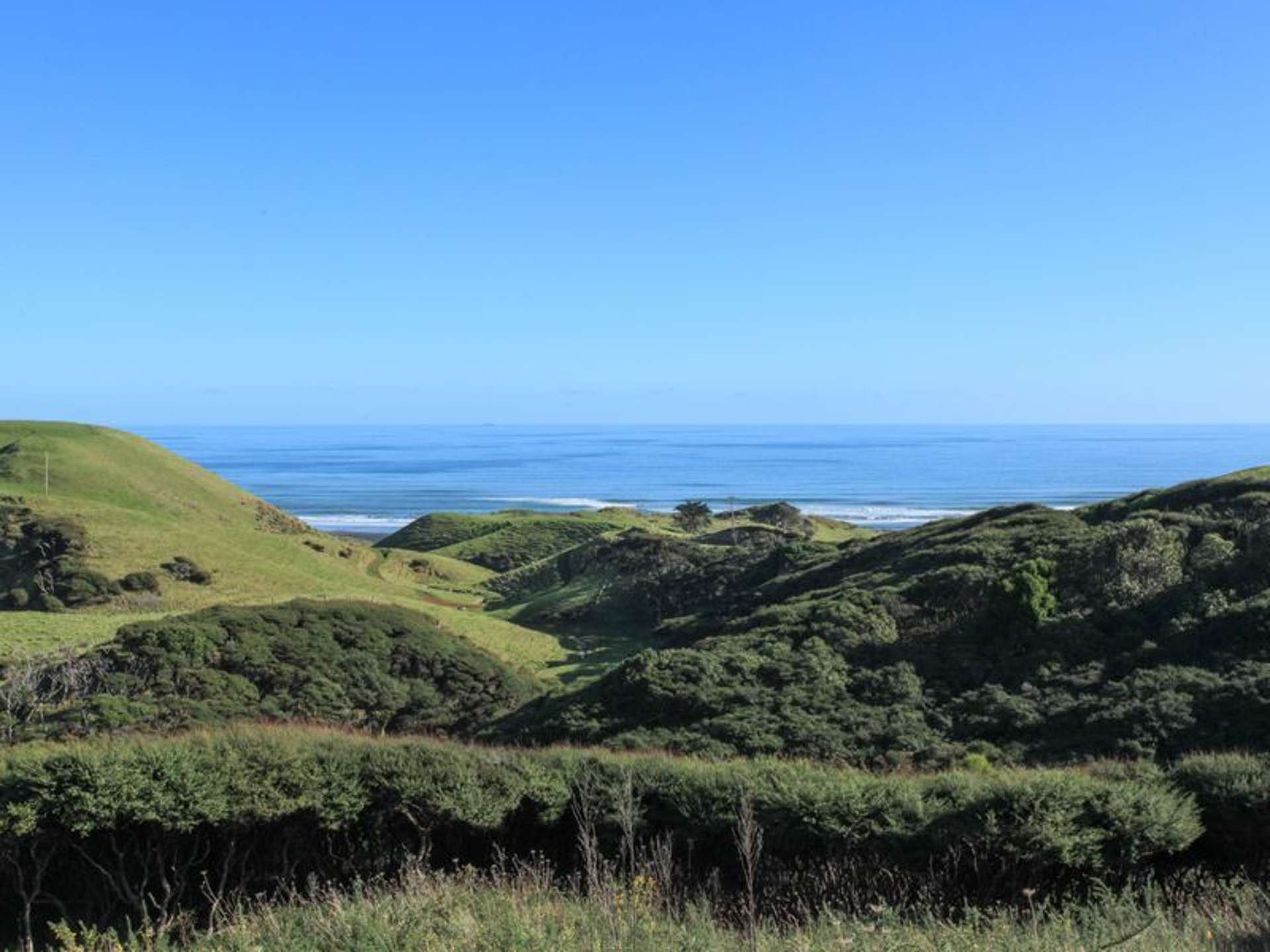 1580 Whaanga Road Raglan_0