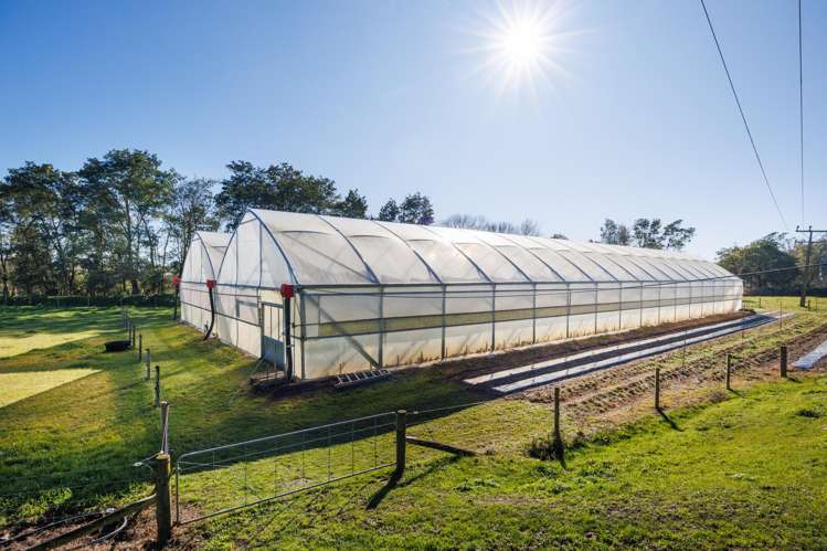 7 Campbell Road Aorangi_23