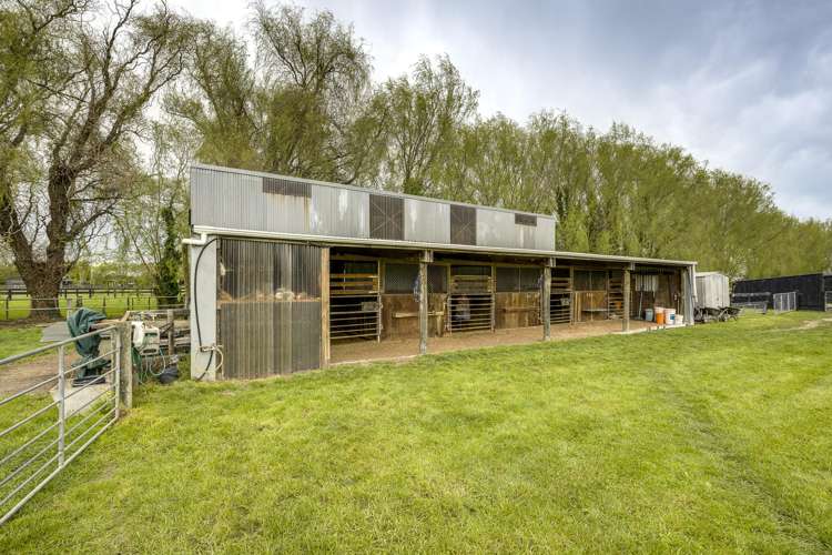 510 Wall Road Raureka_22