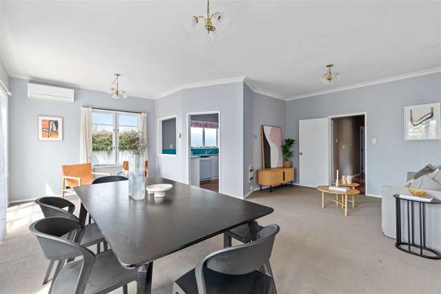 55 Moorhouse Street Morrinsville_3