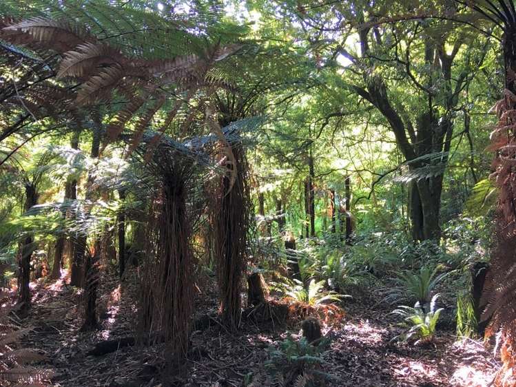 146 Akatarawa Road Waikanae_8