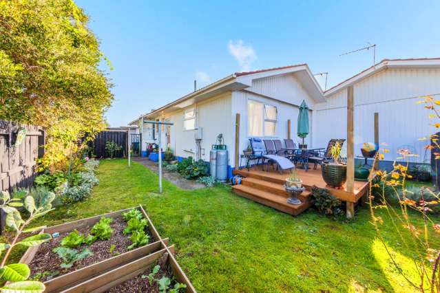 3/47a Grotto Street Onehunga_1