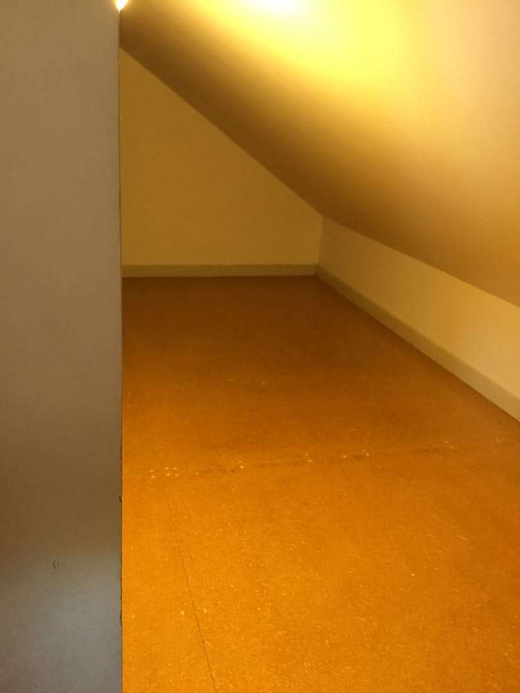 666 Mount Eden Road Mount Eden_14