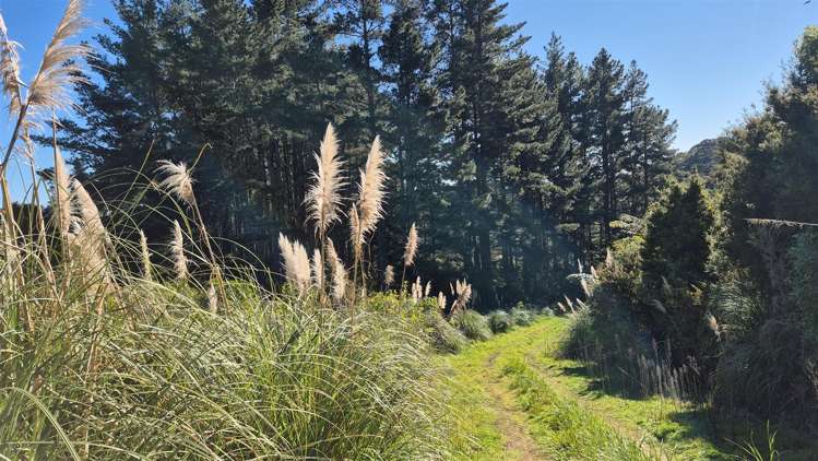 460 Otau Mountain Road Clevedon_13