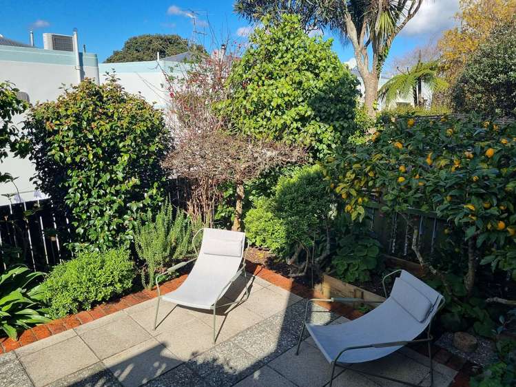 35B Grant Road Thorndon_22