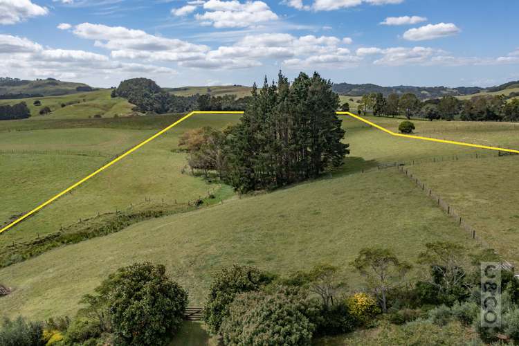 1226 State Highway 16 Waimauku_57