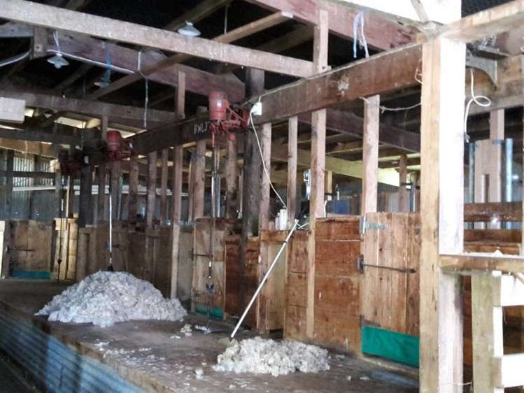 446 Stanley Road Te Popo_35