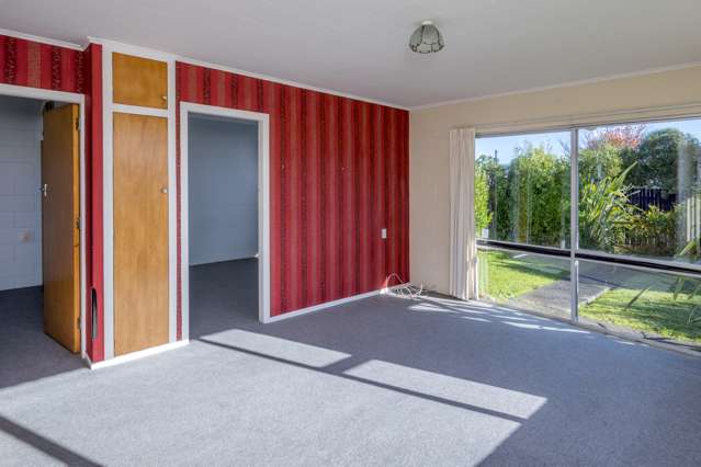 23a Collingwood Street Levin_4