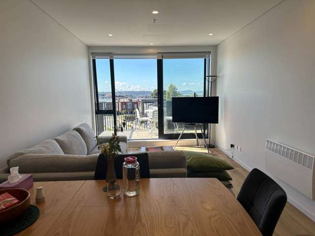 201/2 Rauroa Lane Hobsonville_1