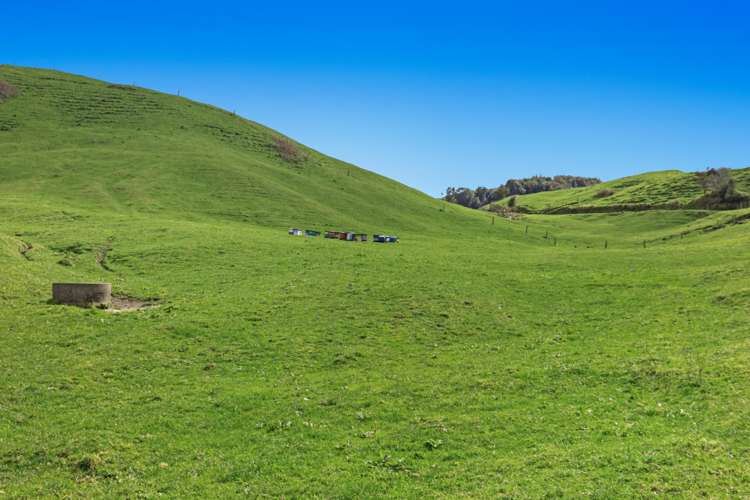 950 Braemar Road Rotoma_22