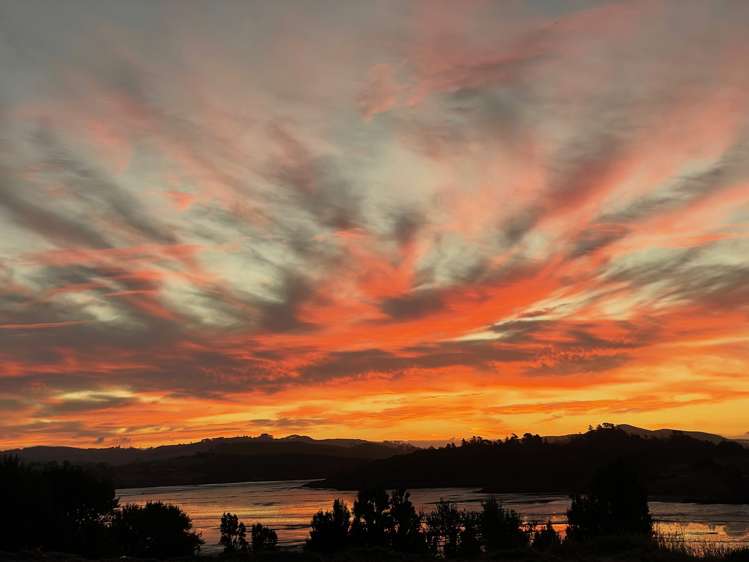 228 Petley Road Paparoa_15