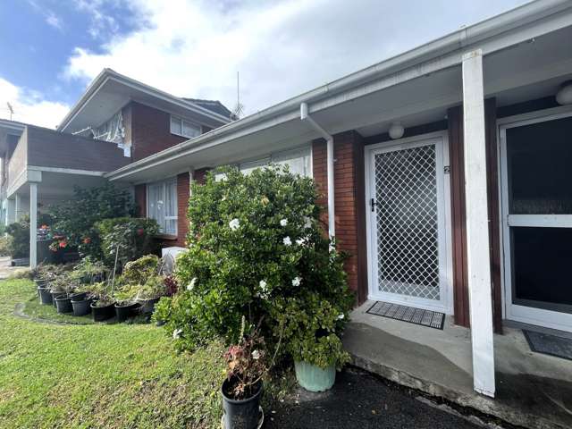 White Swan Road Mt Roskill_1