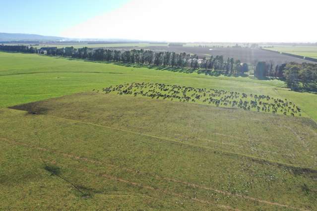 Corner Plantation Road and Wakarara Road Ongaonga_2