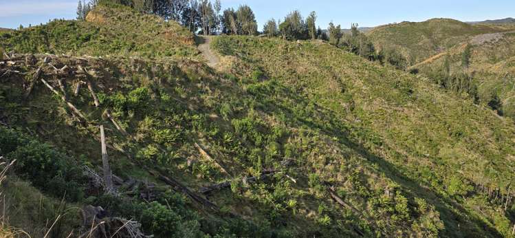 Junction Road Stratford_21