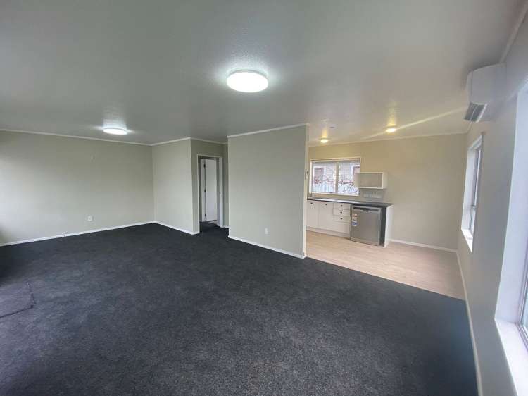 26 Plunket Avenue Petone_2