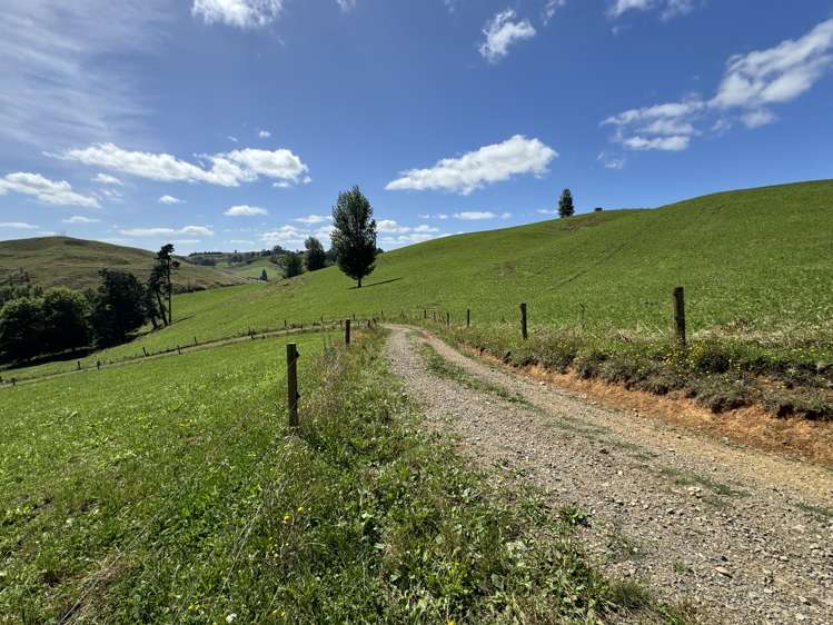 829 Honikiwi Road Otorohanga_15