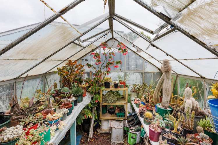 7 Clarke Avenue Highbury_24