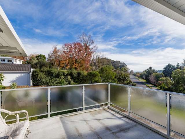 12 Keirunga Road Havelock North_3