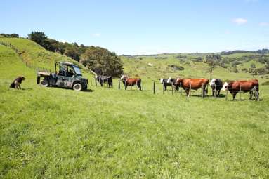 357 Onewhero-Tuakau Bridge Road_2