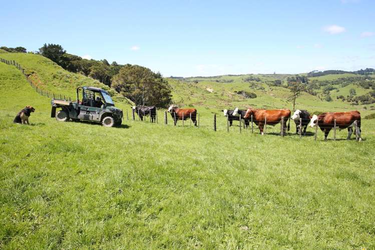 357 Onewhero-Tuakau Bridge Road Onewhero_2