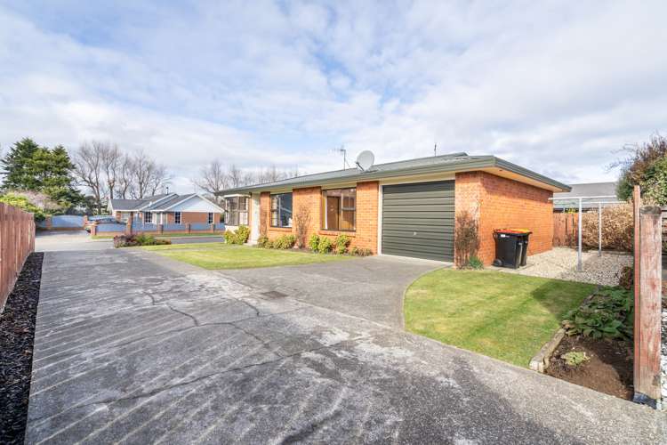 182 Ward Street Hargest_17