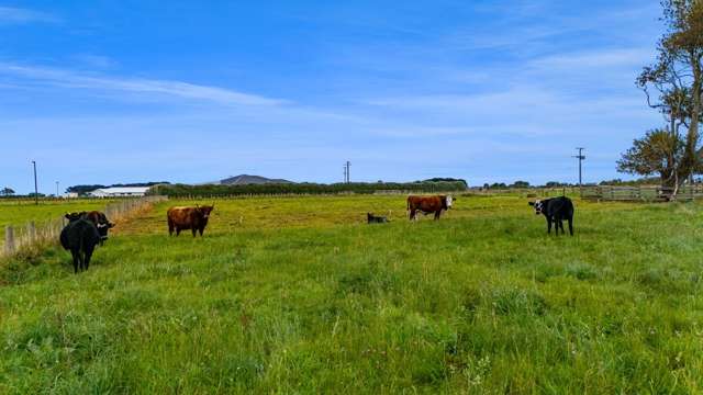 1544 South Road Manutahi_4