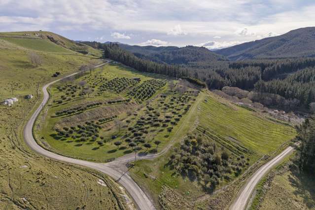 101 Laidmore Road Broomfield_2