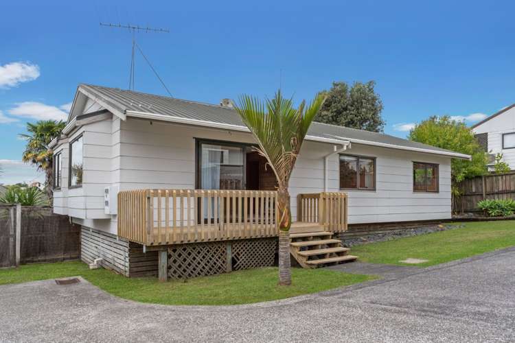 41b Salisbury Road_0