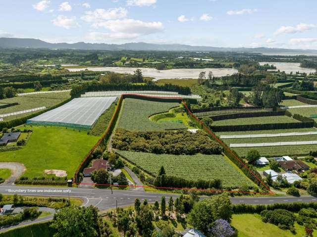 Lifestyle orchard and coastal charm, Te Puna