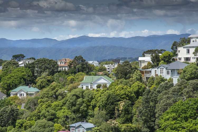 15 Boundary Road Kelburn_14