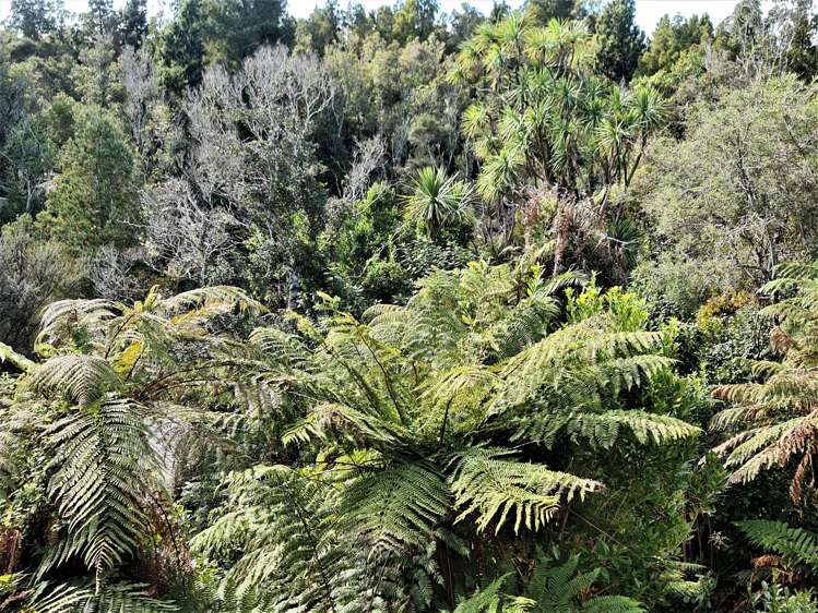 459 Utopia Road Westport_20