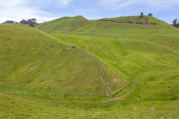 1901 Tutukau Road Wairakei and Surrounds_5