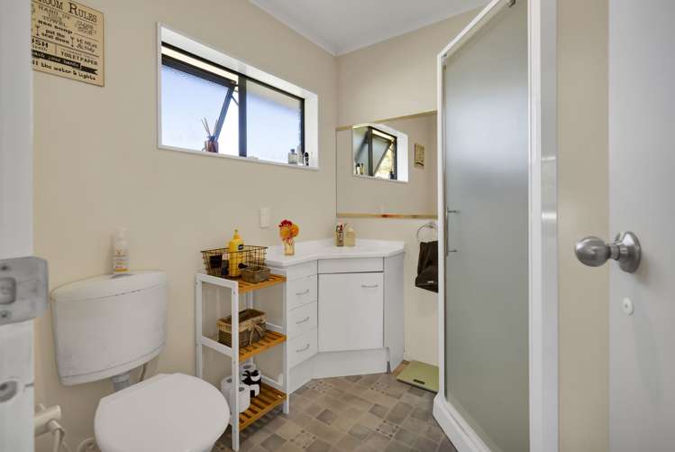 102 Manu Road Te Popo_10