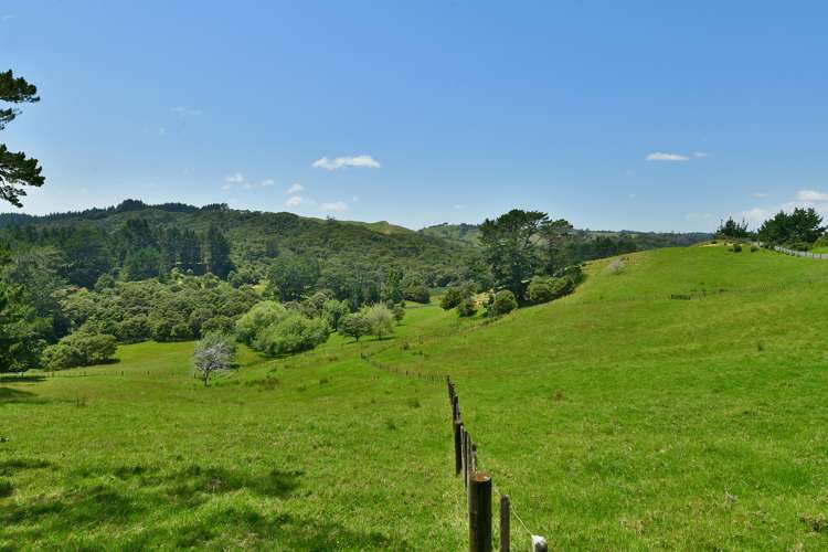 123 Gatfield Road Kaukapakapa_11