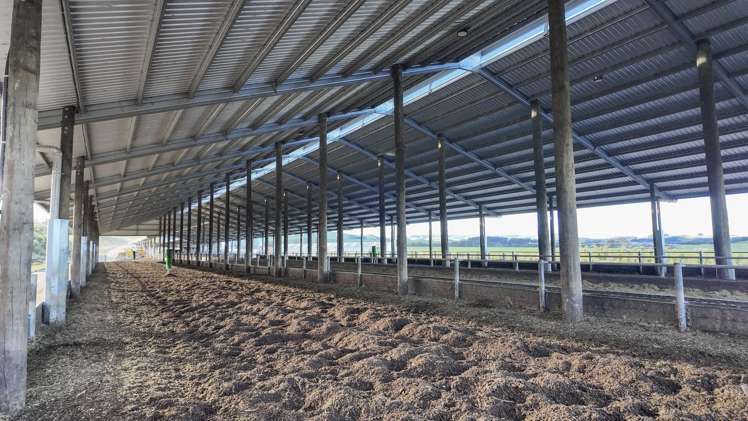 500 Willowford Road Waiwhare_22