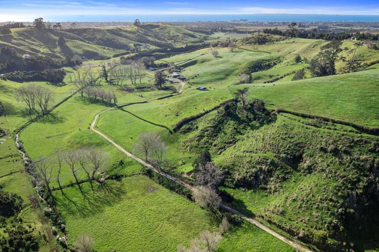 892d Welcome Bay Road Papamoa_11