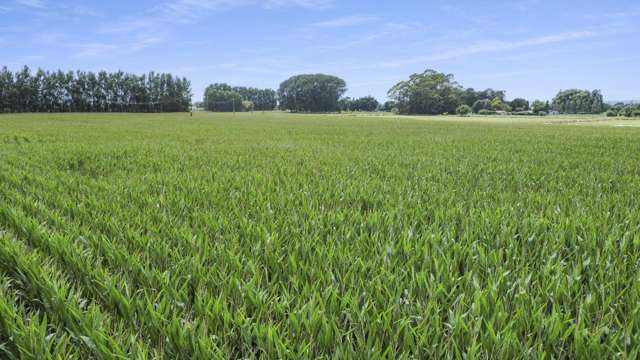 434-454 Awakeri Road Edgecumbe_3