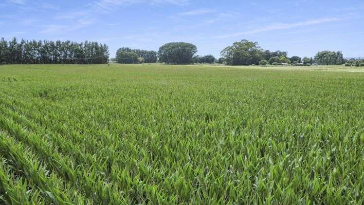 434-454 Awakeri Road Edgecumbe_3