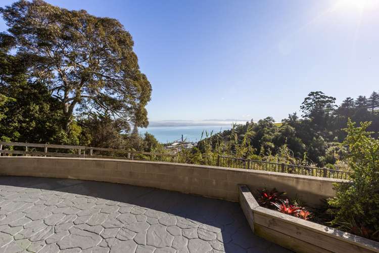 2/3 Lighthouse Road Bluff Hill_17
