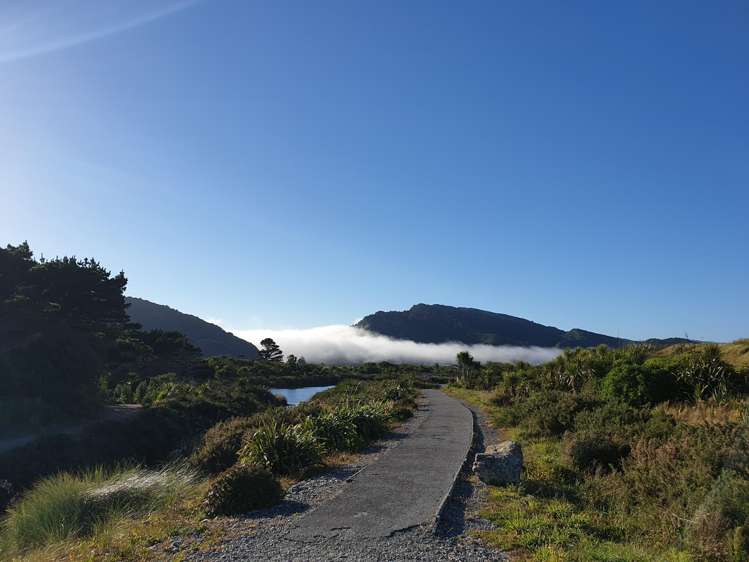 32 Domett Esplanade Cobden_52