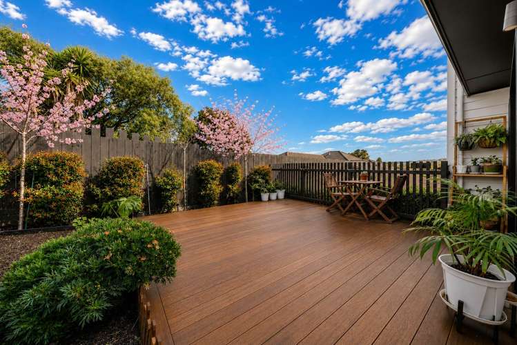82E White Swan Road Mt Roskill_1