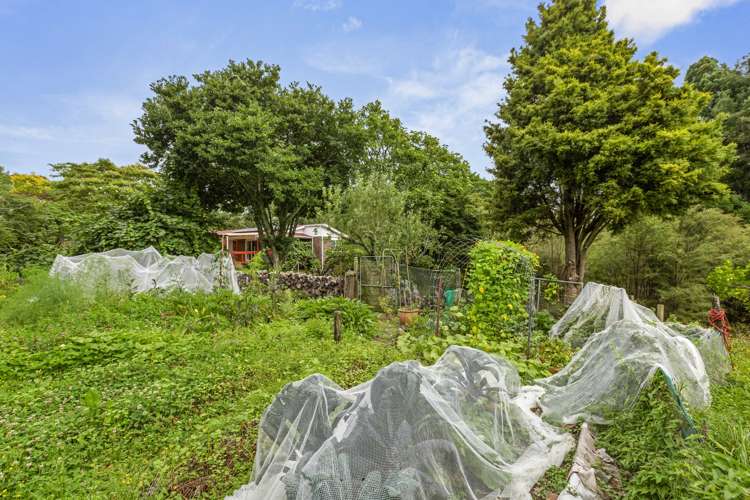 102 Waitetuna Valley Road Raglan_5