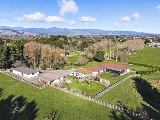 39A The Avenue Levin_1