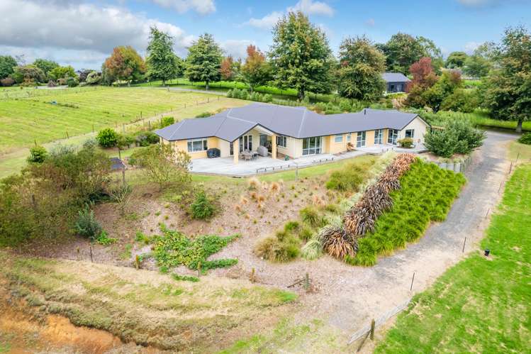 920a Bond Road Te Awamutu_47