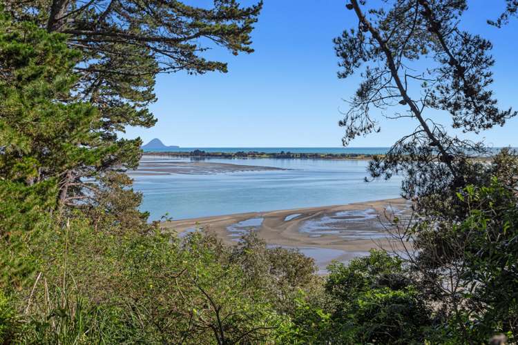 107 Ohiwa Loop Road Opotiki and Surrounds_12