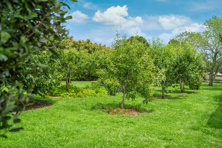 769 No 1 Road Te Puke_26