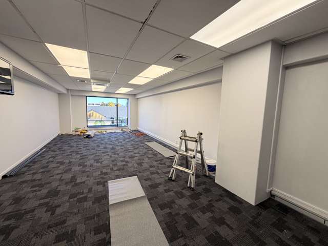 65 Waterloo Road Hutt Central_2