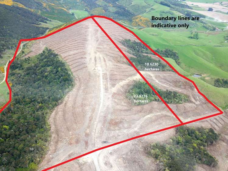 Karoro Creek Road Kaka Point_8