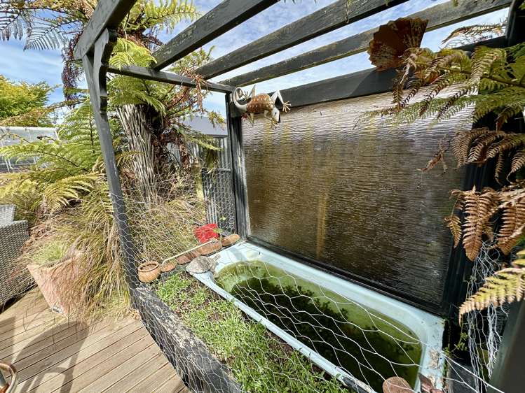 397 North Road Waikiwi_33