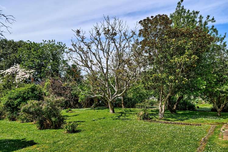 29-31 Raukawa Street Stokes Valley_10